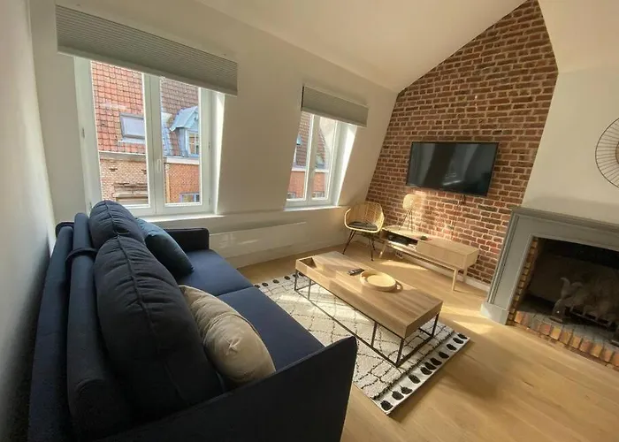 Appartement 50 M2 Avec Rooftop Lille Centre